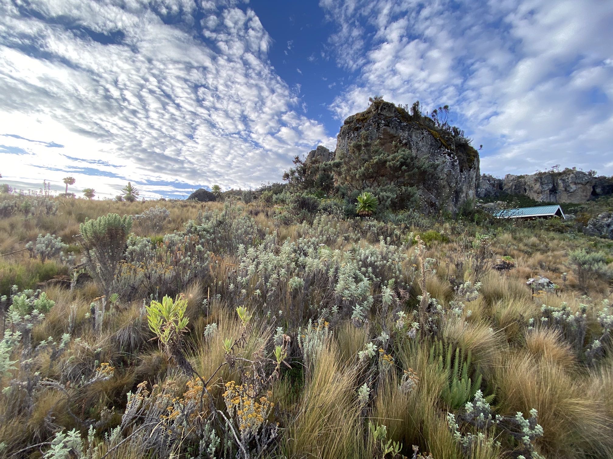 Mount Elgon Eco Tours