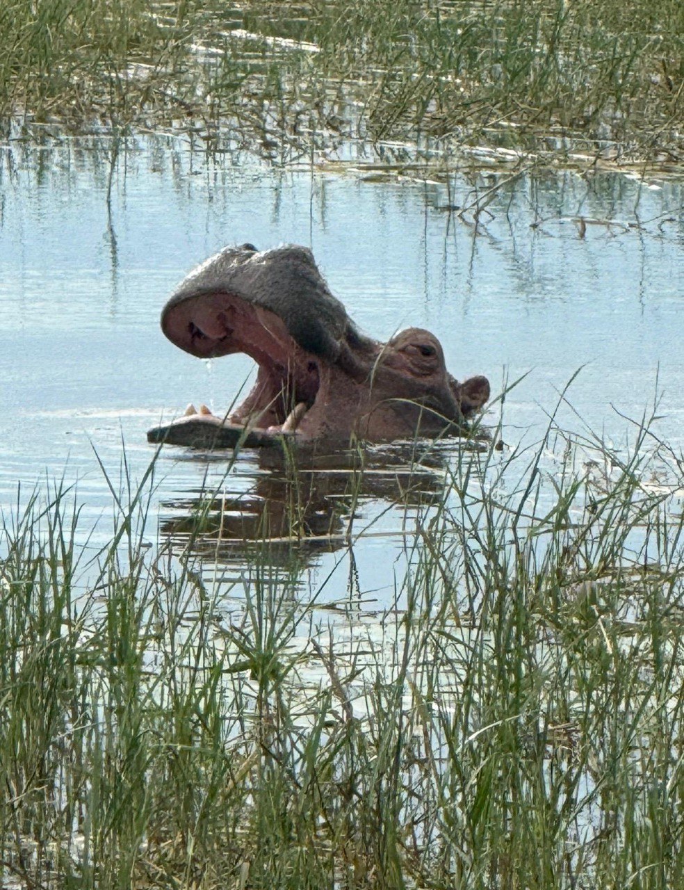 Ethiopia Travel Buddy