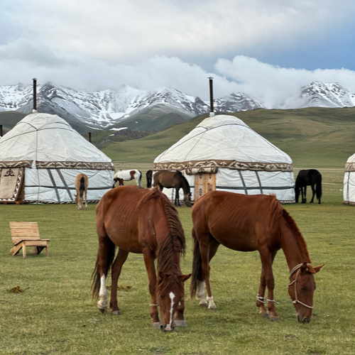 Tours to Kyrgyzstan
