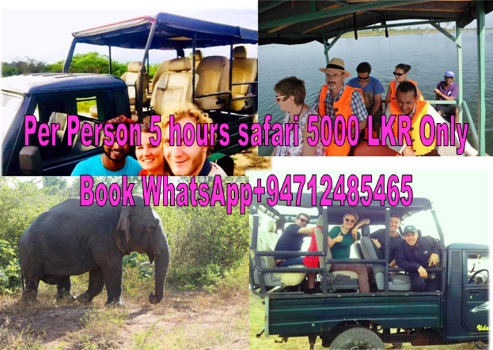 Greenwood Udawalawe resort