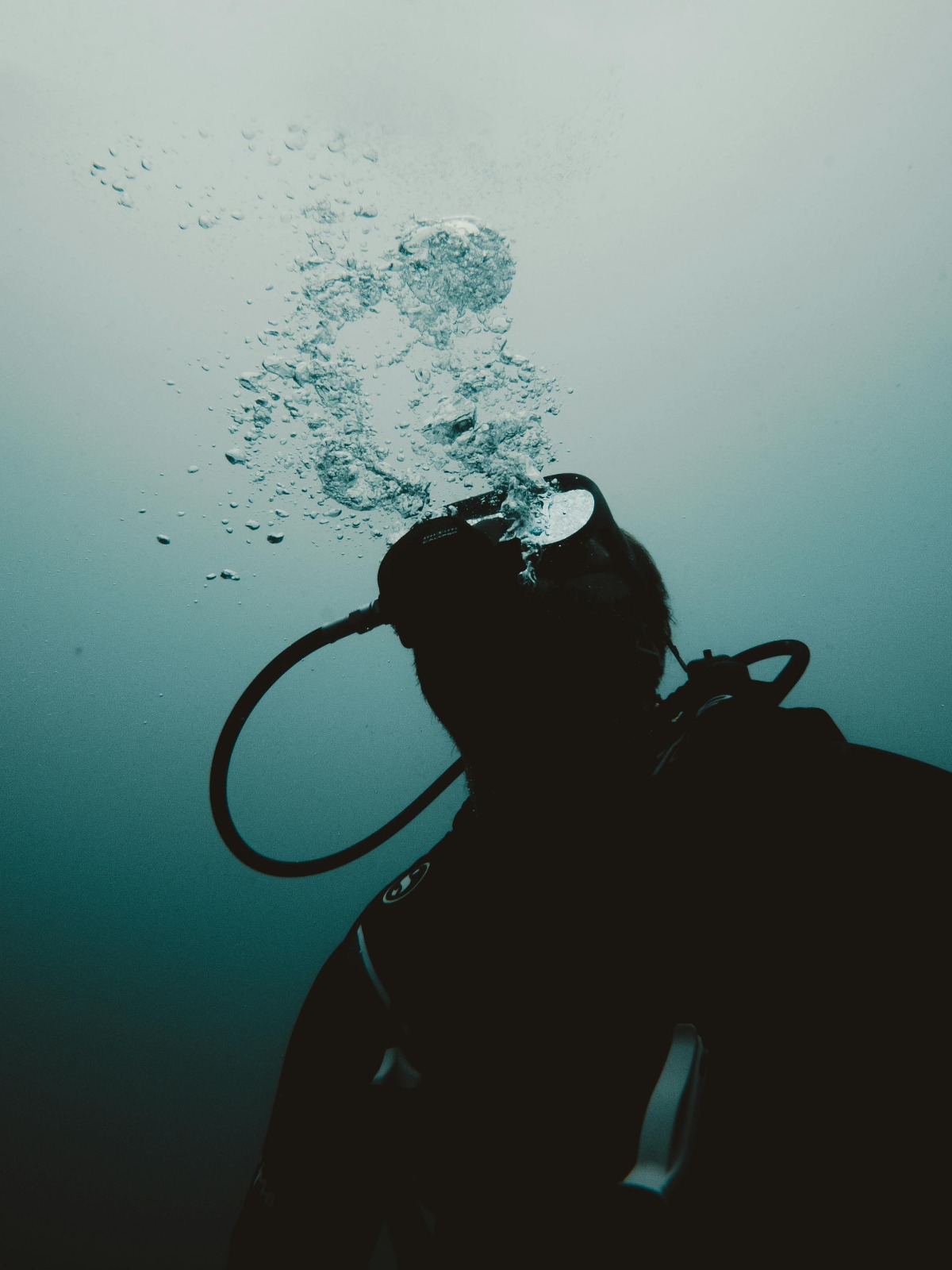 Pilgrim Divers
