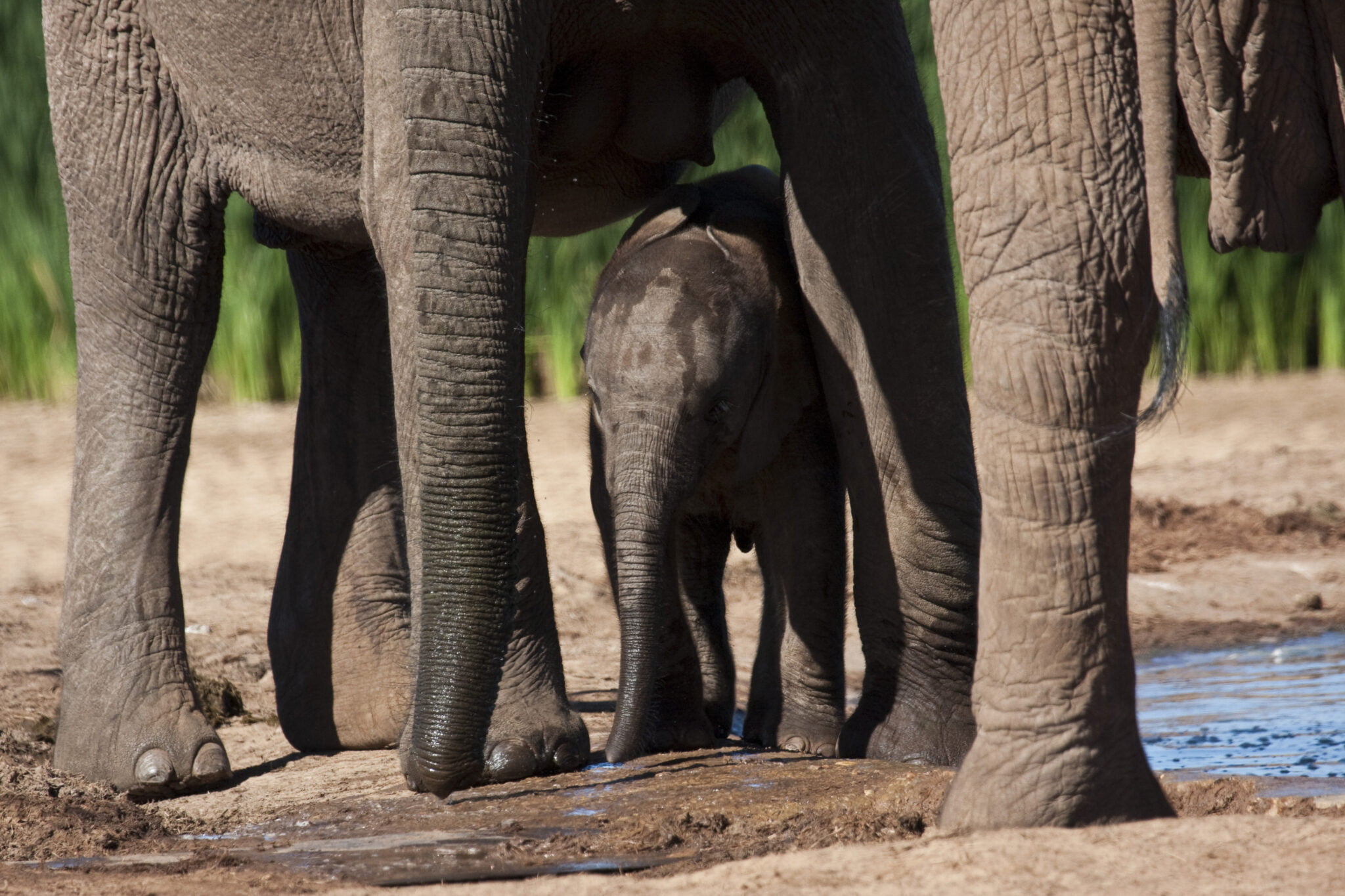 UMZANTSI AFRIKA TOURS