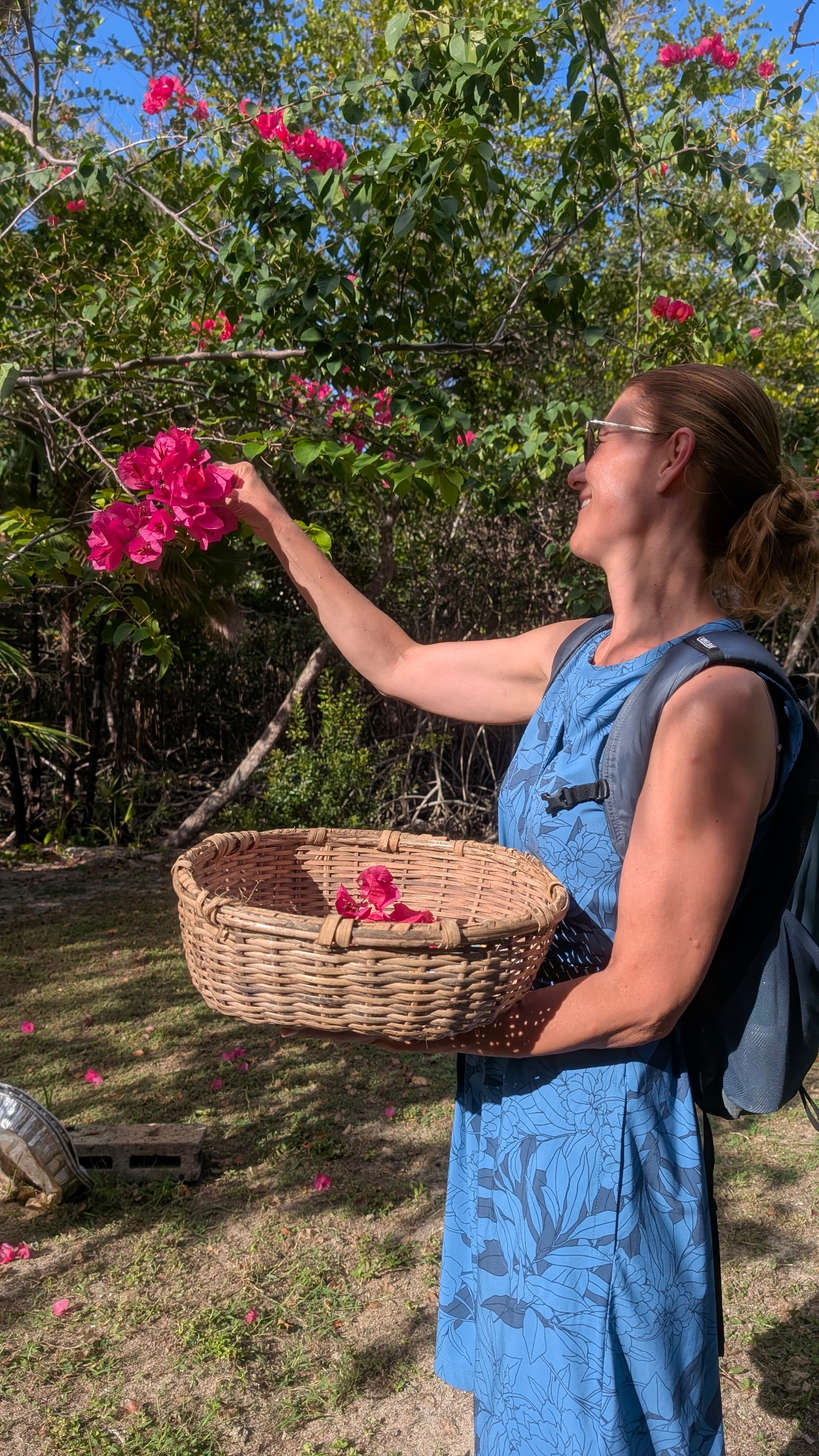 Palmento Grove Eco-Cultural and Healing Lodge