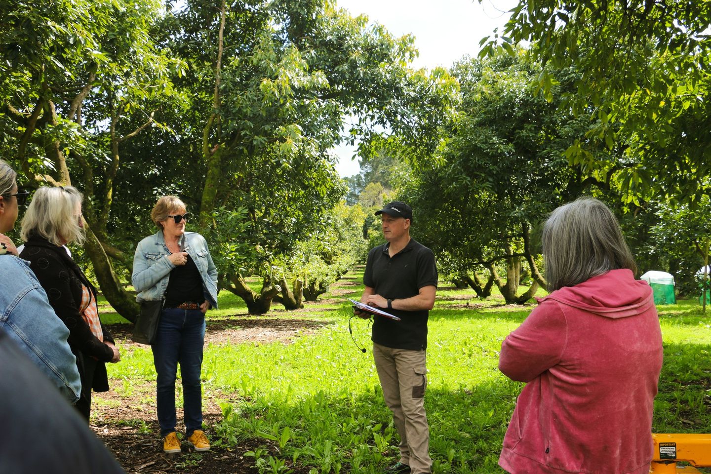 TAURANGA TASTING TOURS & CHART