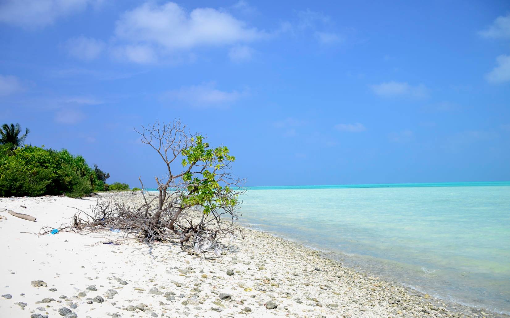 Promise India Tourism