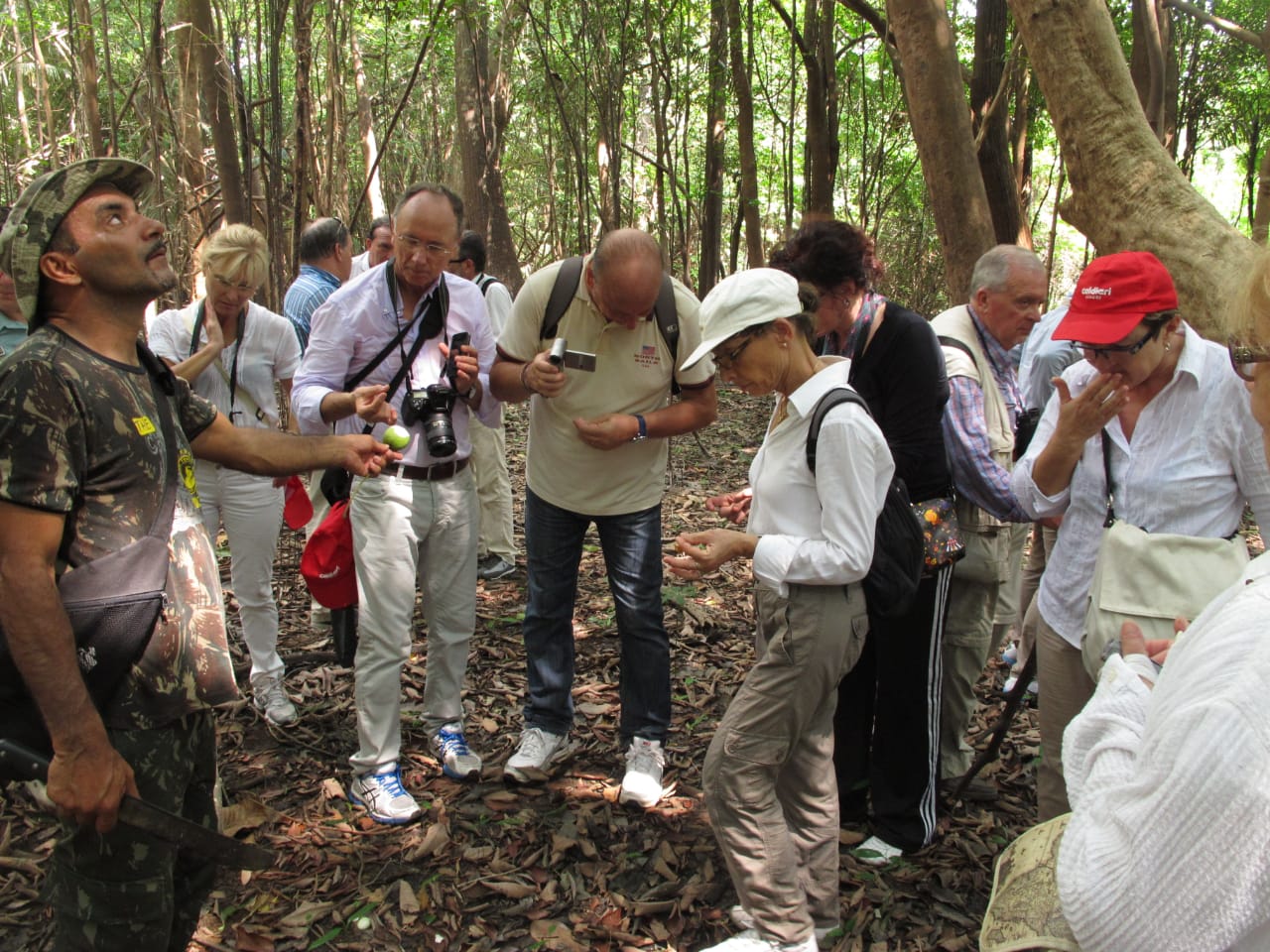 Ausfluege Amazons Brazil