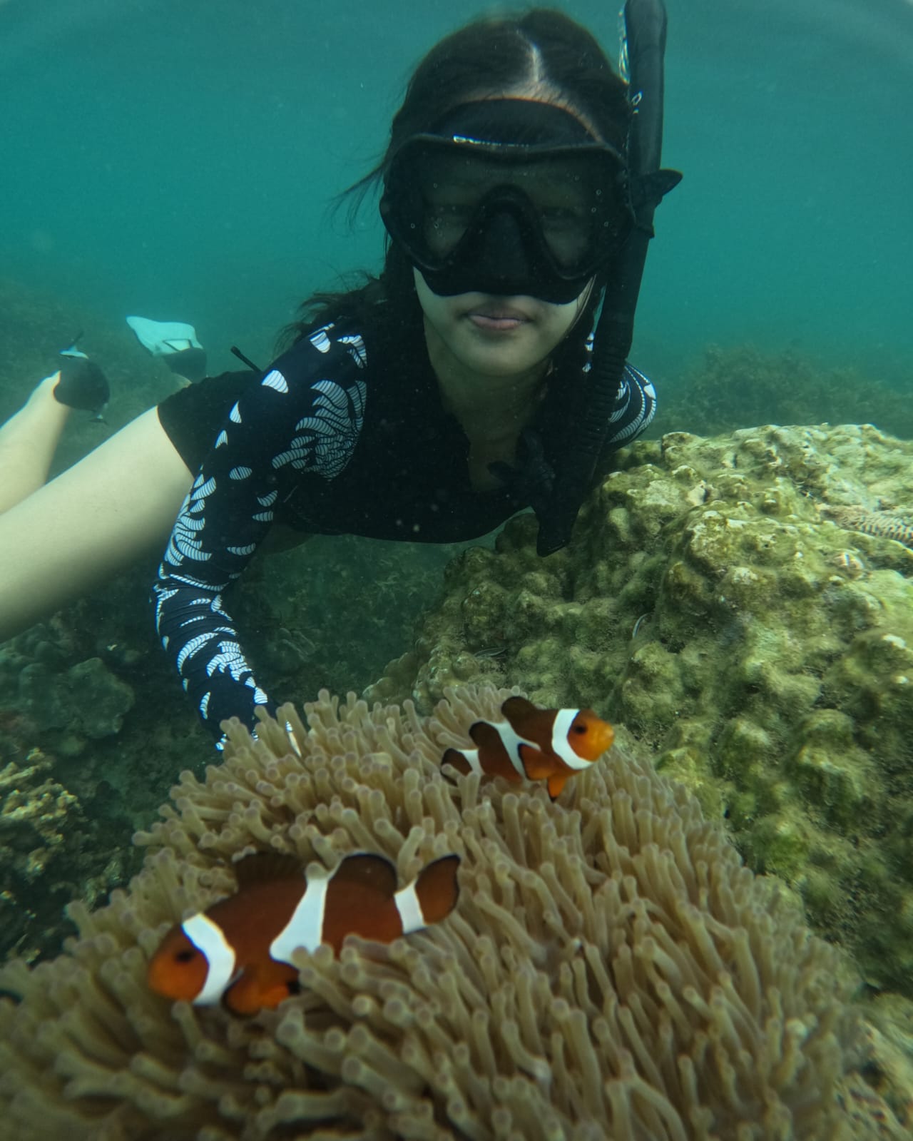 PT. BINTAN FORTUNE TOUR