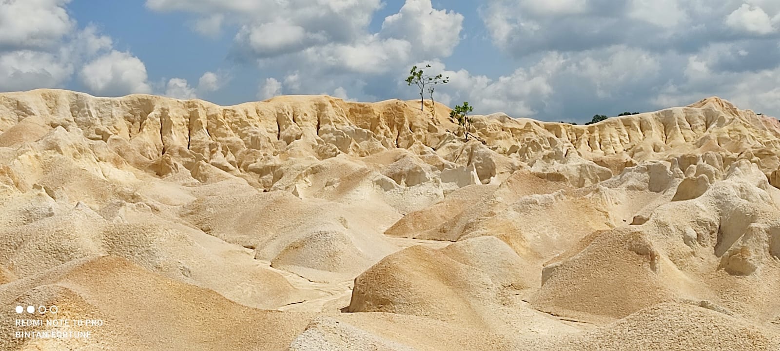 PT. BINTAN FORTUNE TOUR