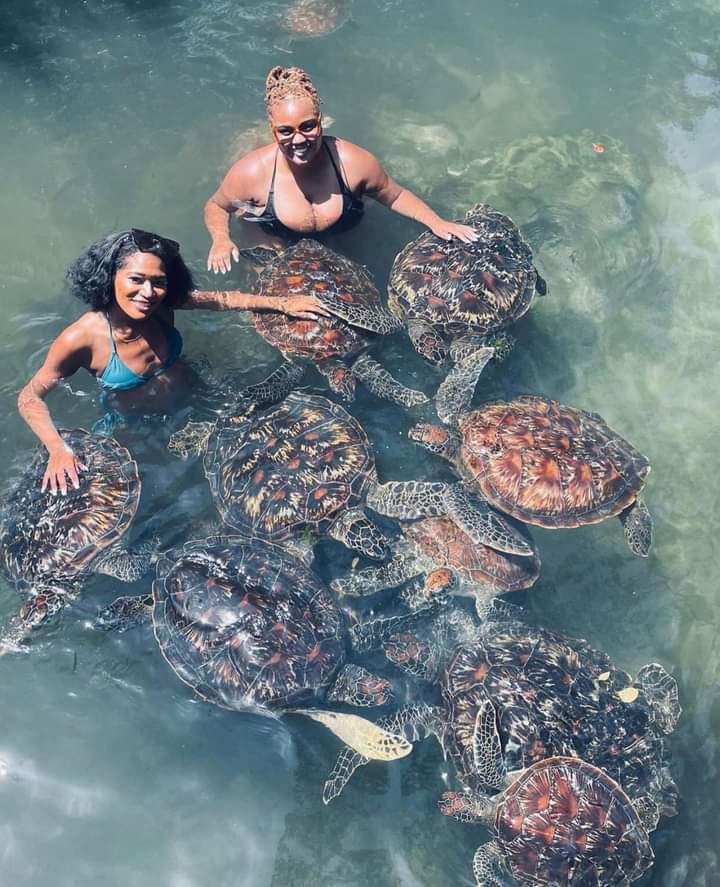 Alibaba Tours Zanzibar