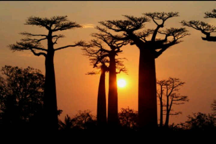 Madagascar Sunset Holidays