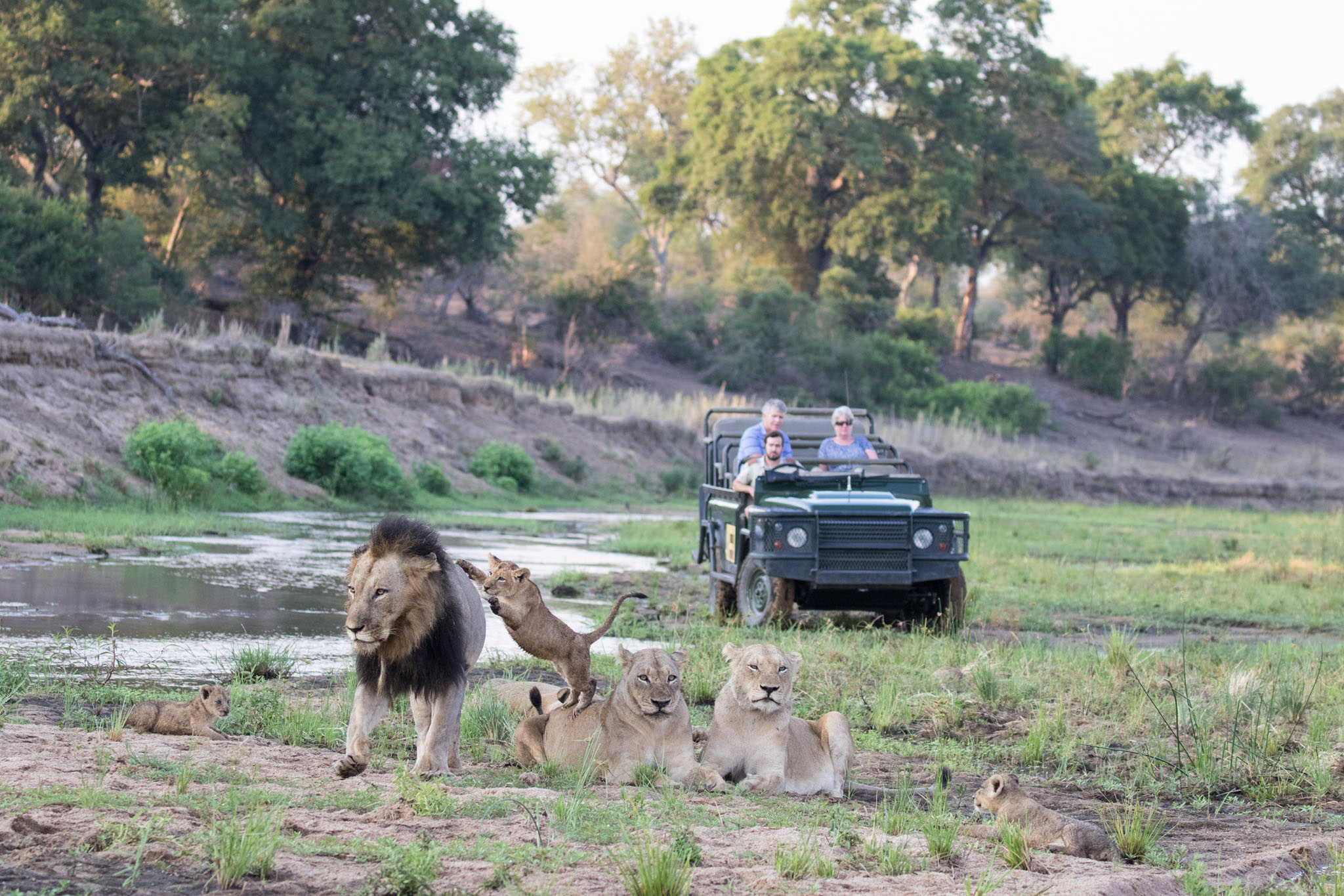 Secrets VIP Safaris