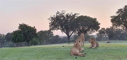 Secrets VIP Safaris