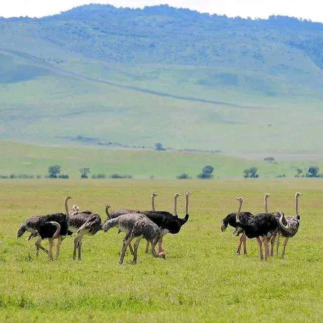 Jossec Tour and Safaris