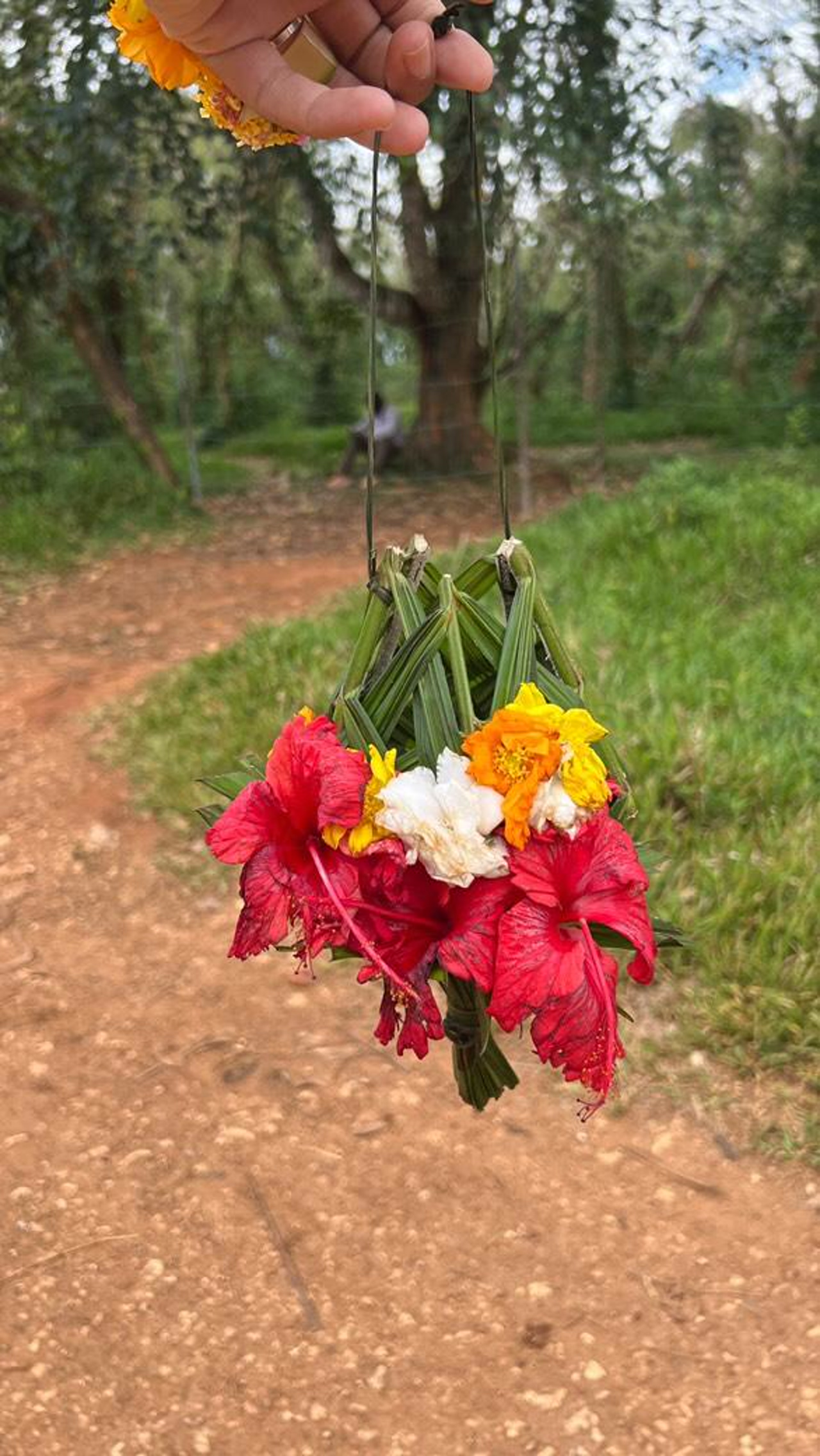 Spice Tour with Cooking Class