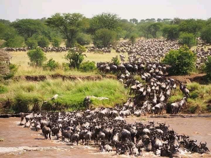 AK AFRICAN TOURS & SAFARIS LTD
