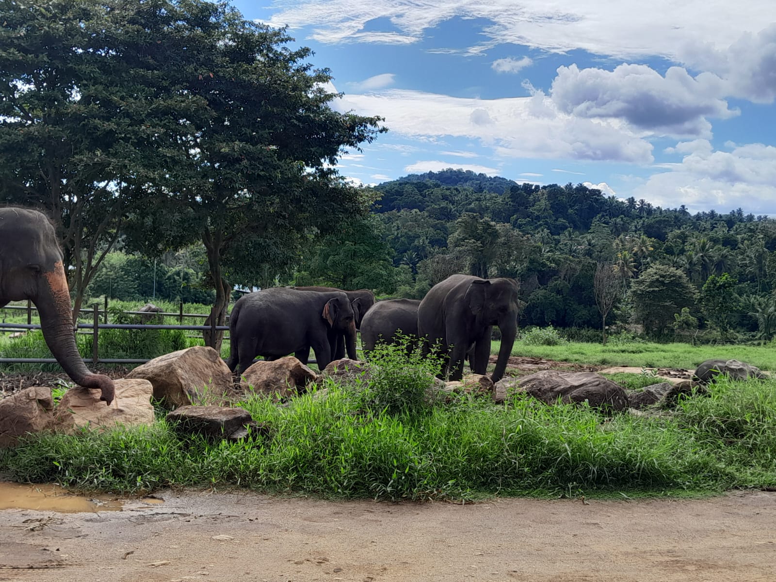 Hill country experience