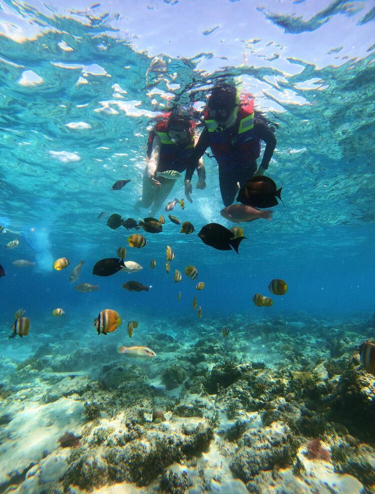 SEMBALUN ADVENTURE T&T