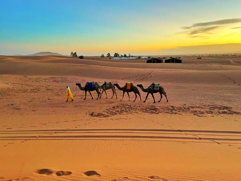Fabulous Morocco Tours