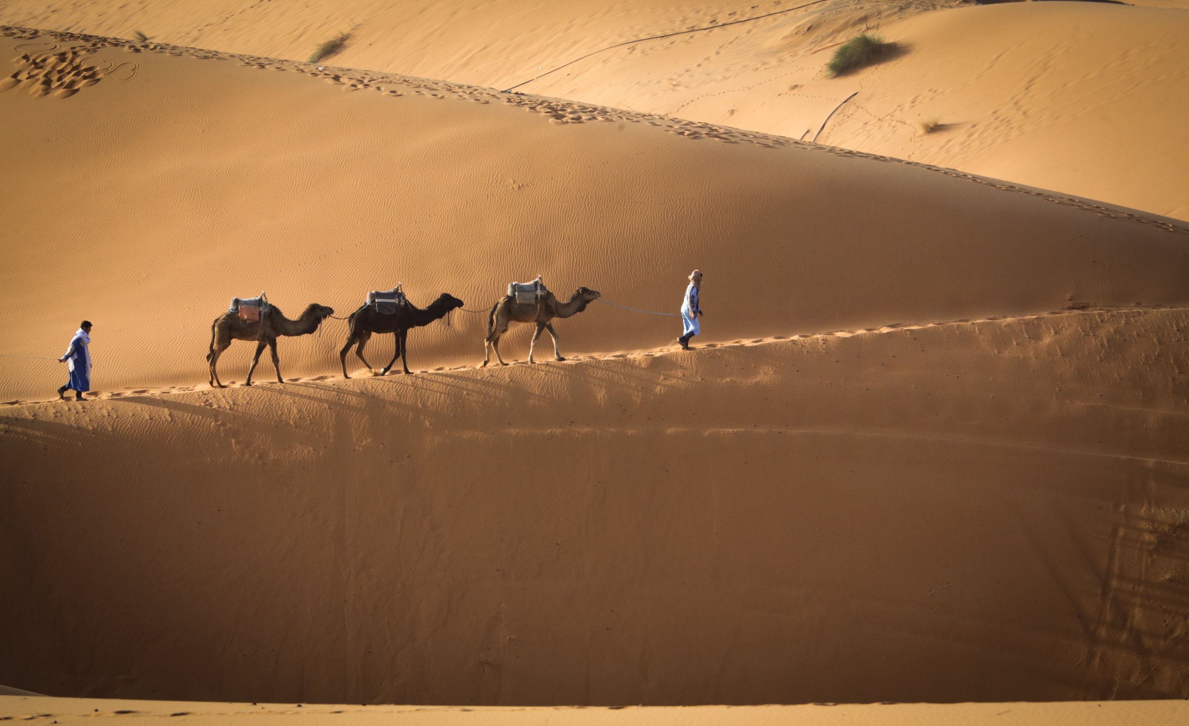 Fabulous Morocco Tours