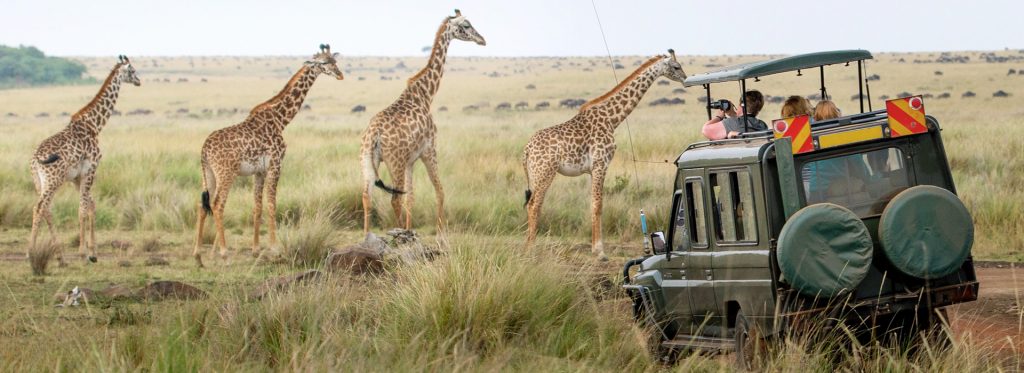 Eben Safari Tours Ltd.