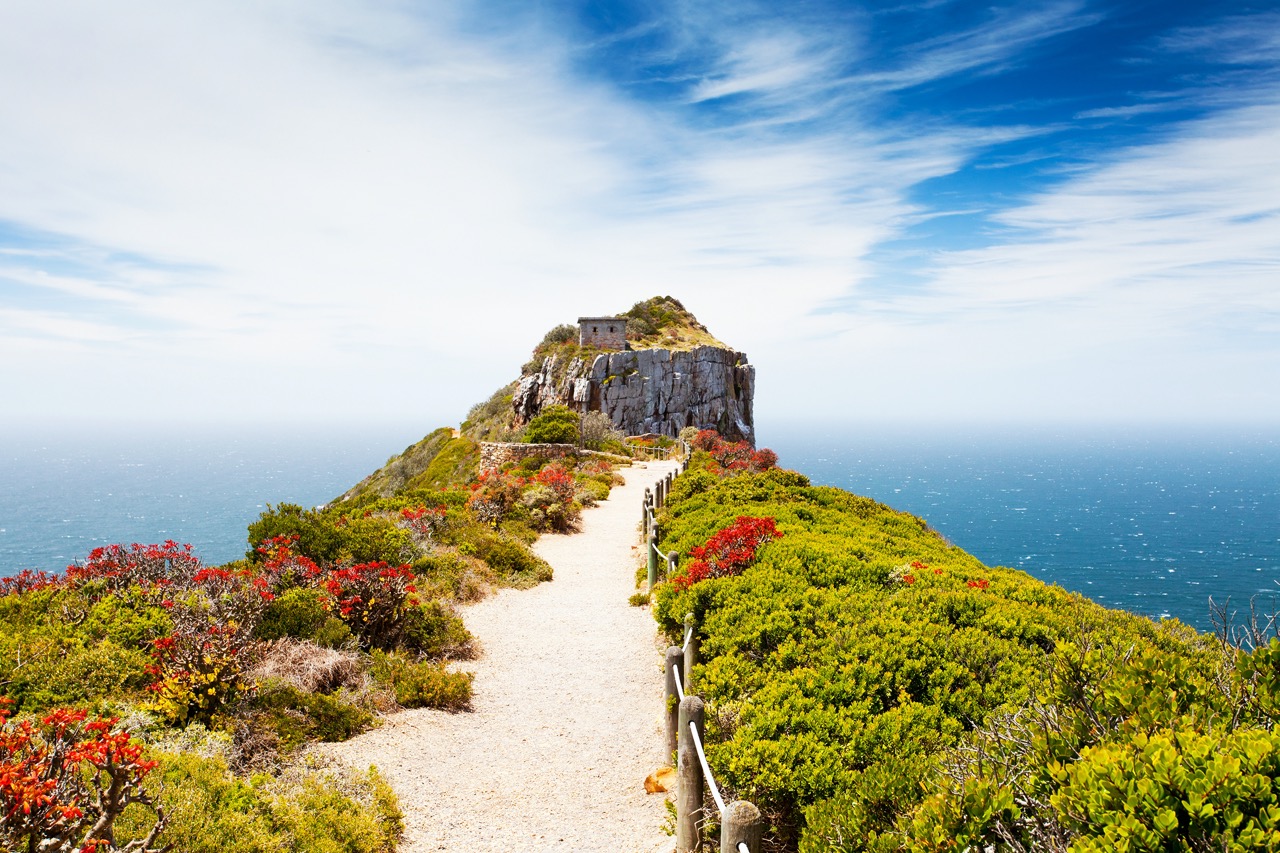 Cape Point E-Bike Tours