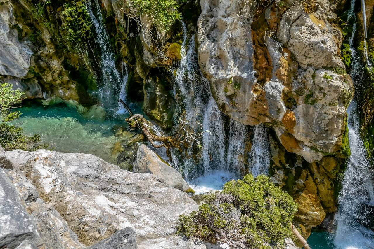 Heliophilia | Back To Nature