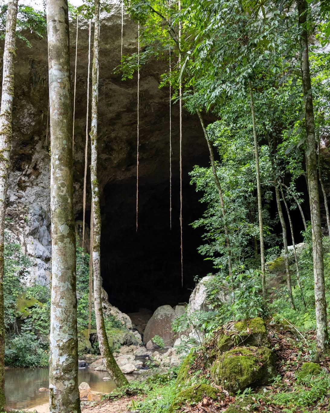 Balam Belize Adventures