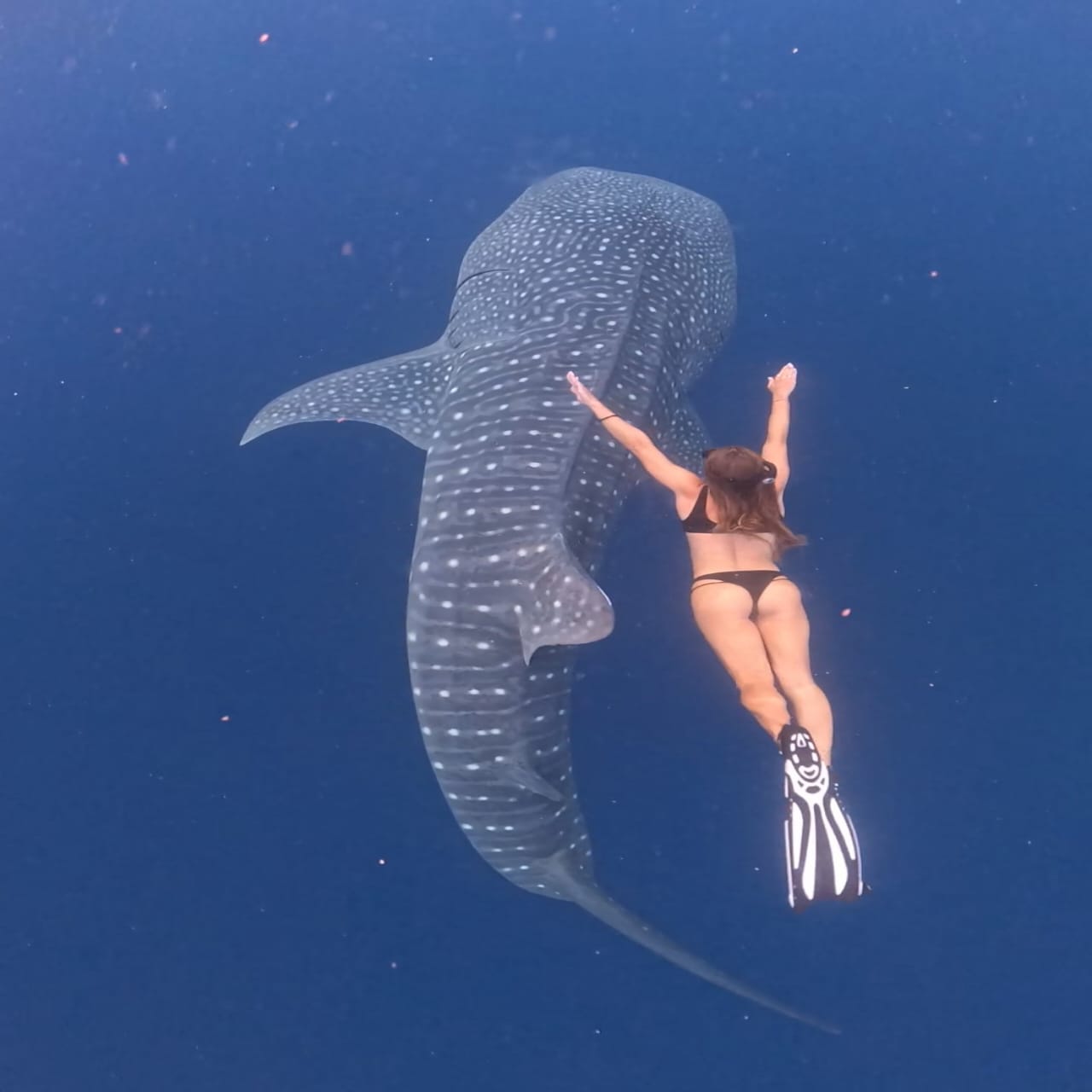 Rinjani Climbing Tours