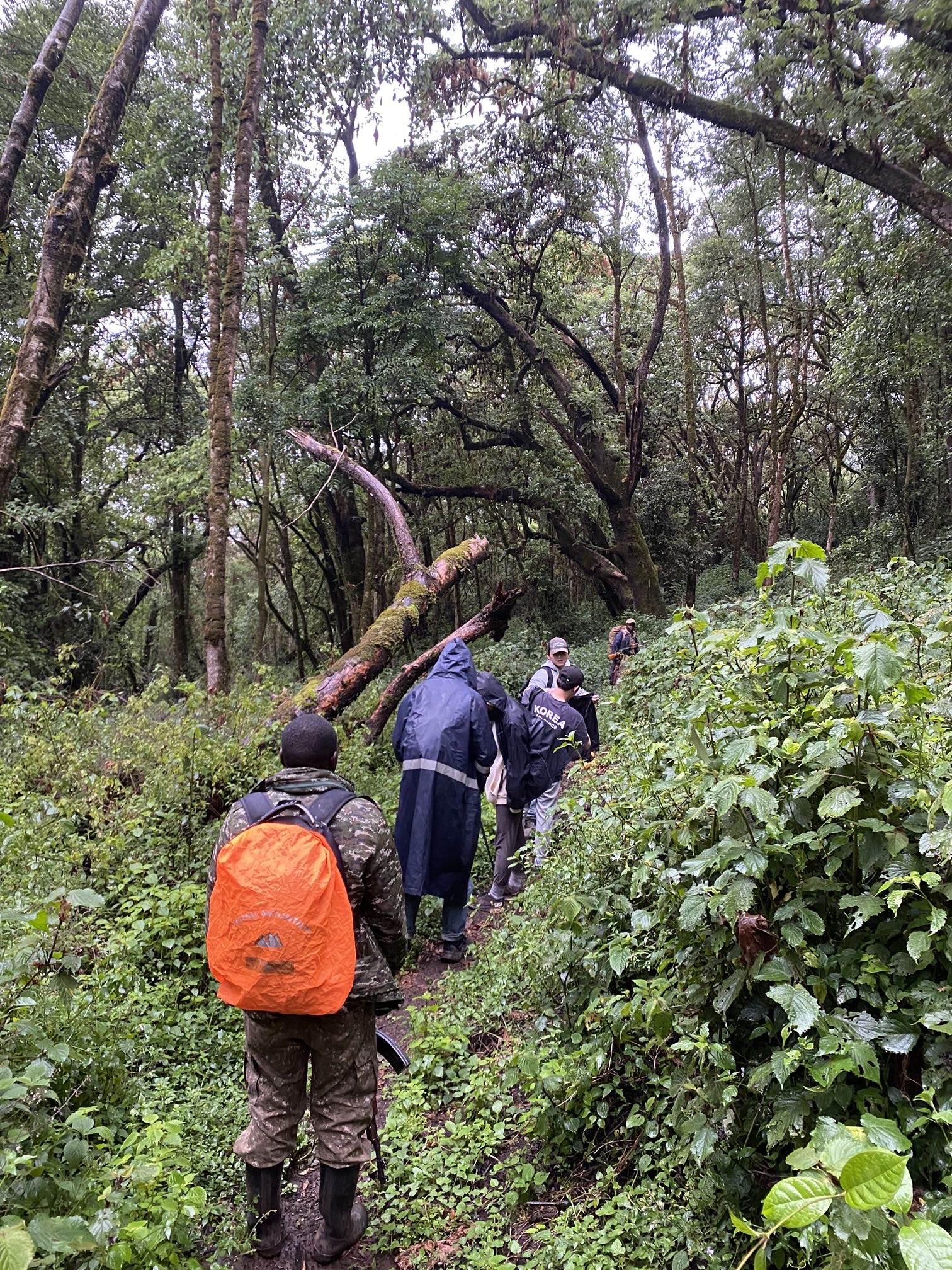 Mount Elgon Eco Tours