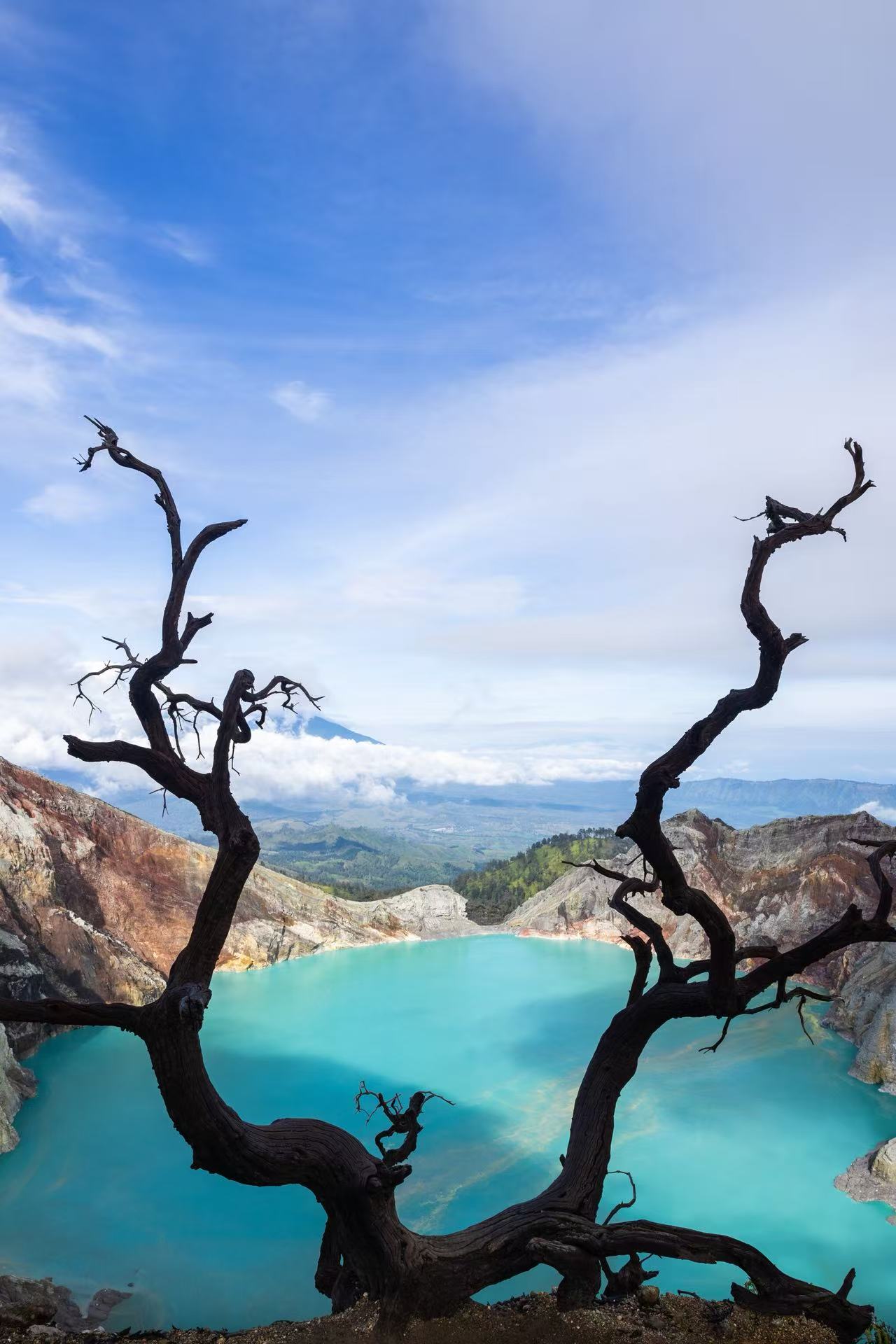 PT banyuwangi osing trip