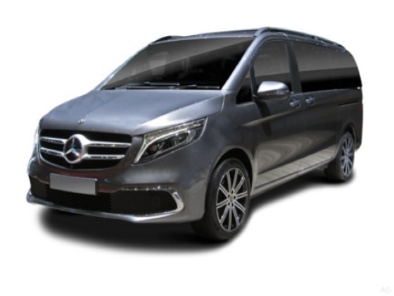 DYNASTY TOURS & TRANSFERS