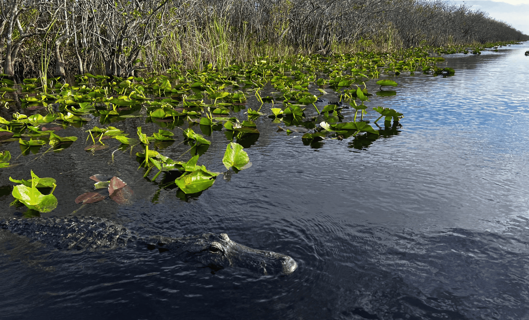 Magic City Adventures