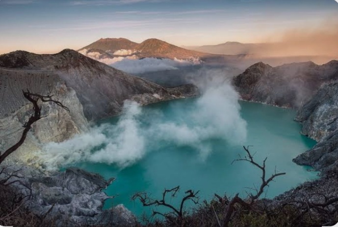 M Tour & Travel Bali