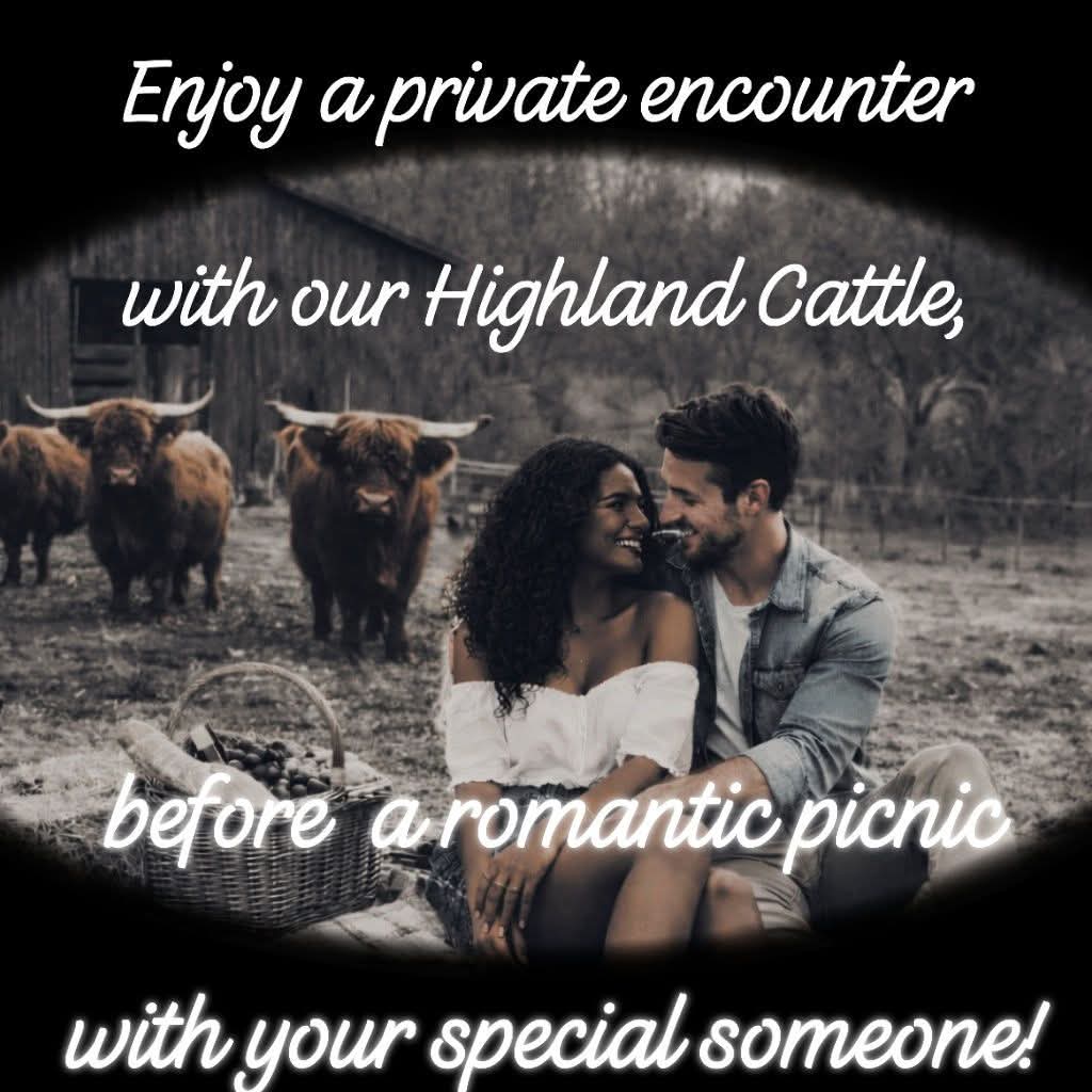 Whispering Dandelion Farm