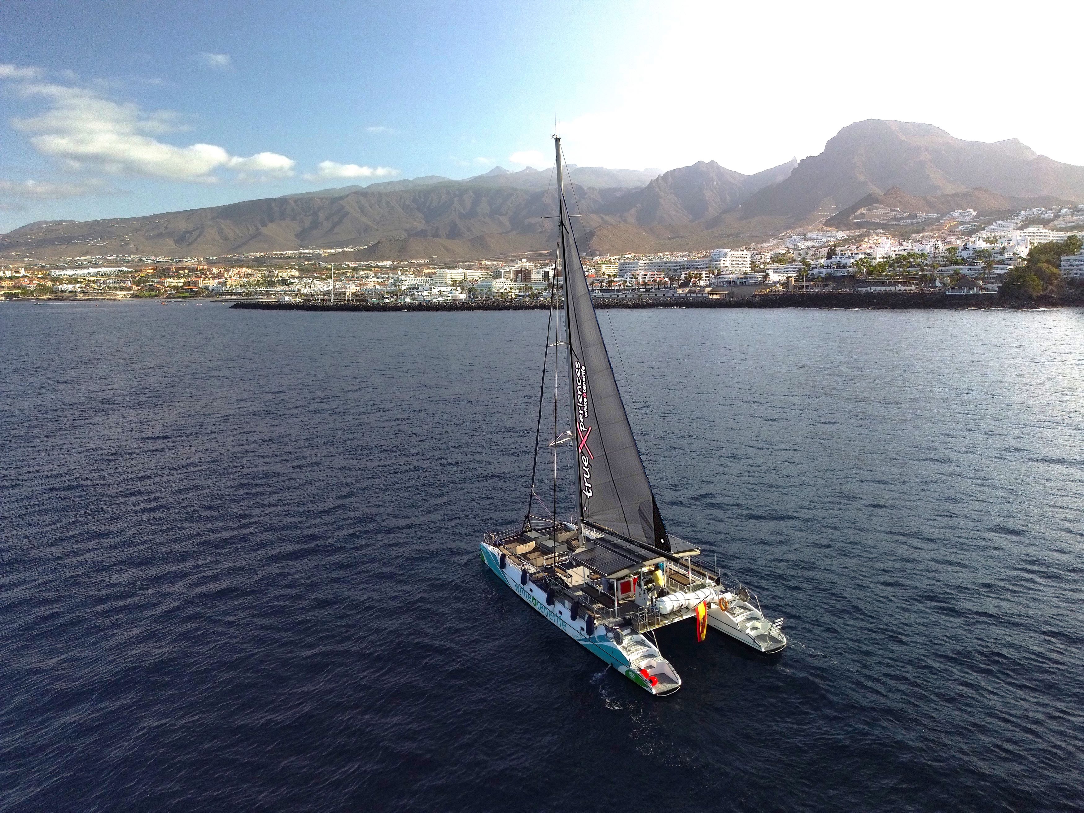 White Tenerife