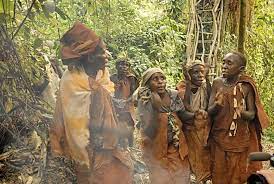 DOLPHIN TOURS AND TRAVEL