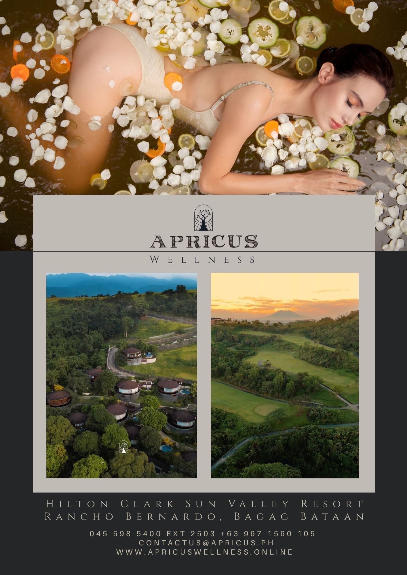 Apricus Wellness