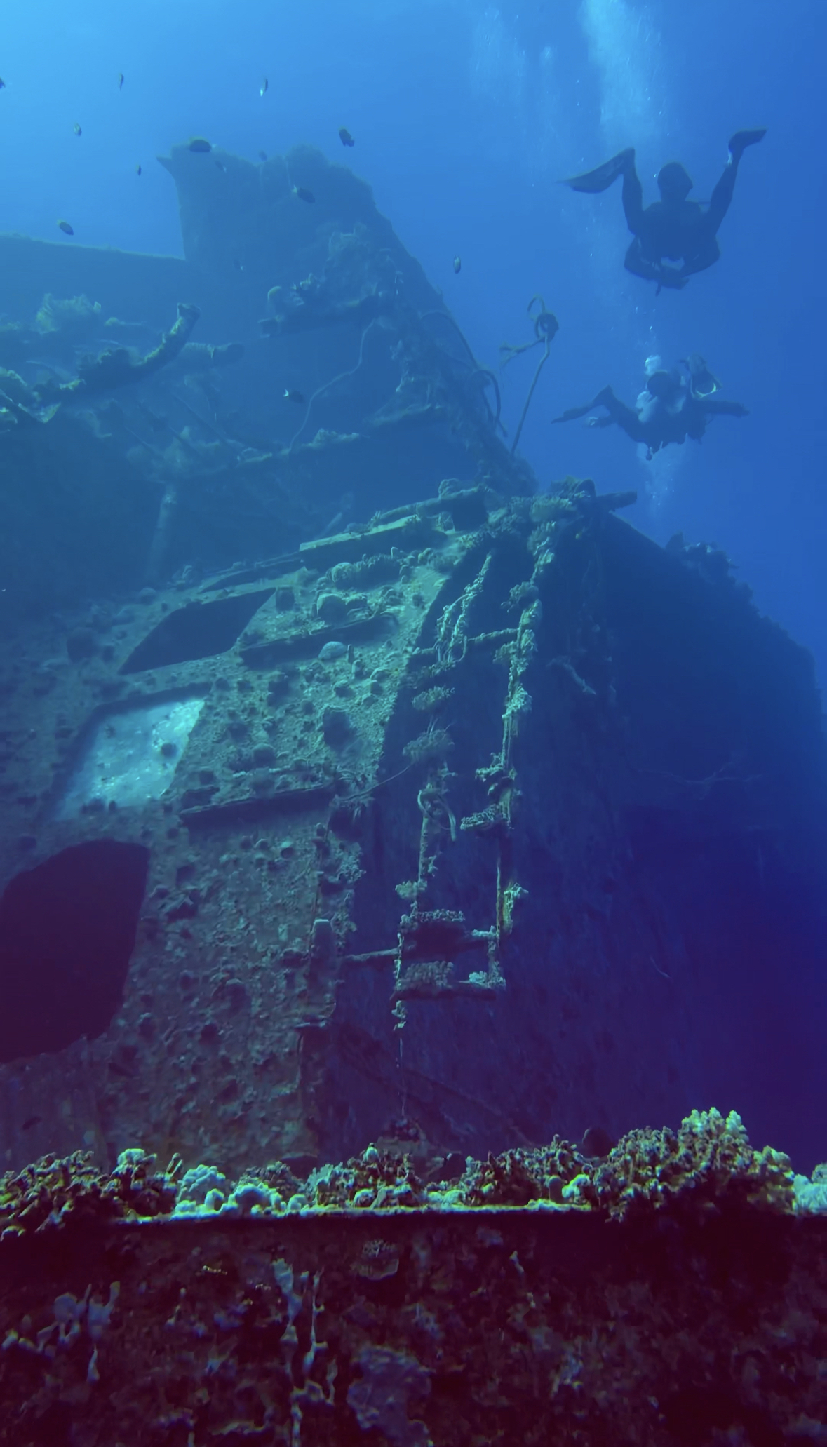 Volkert Dive Center