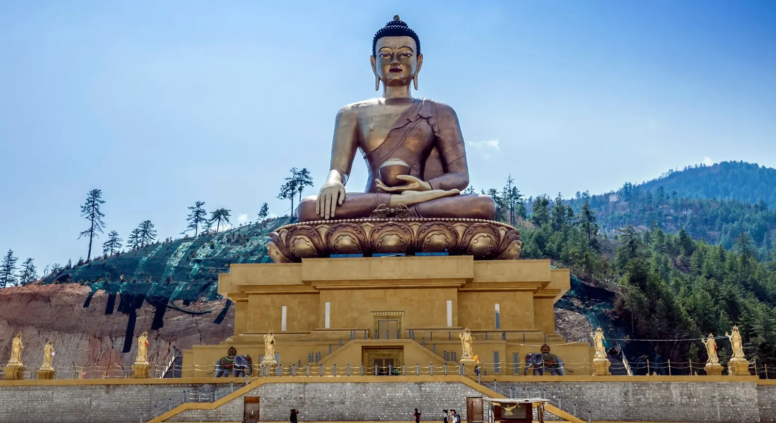 IML Travel & Consulting