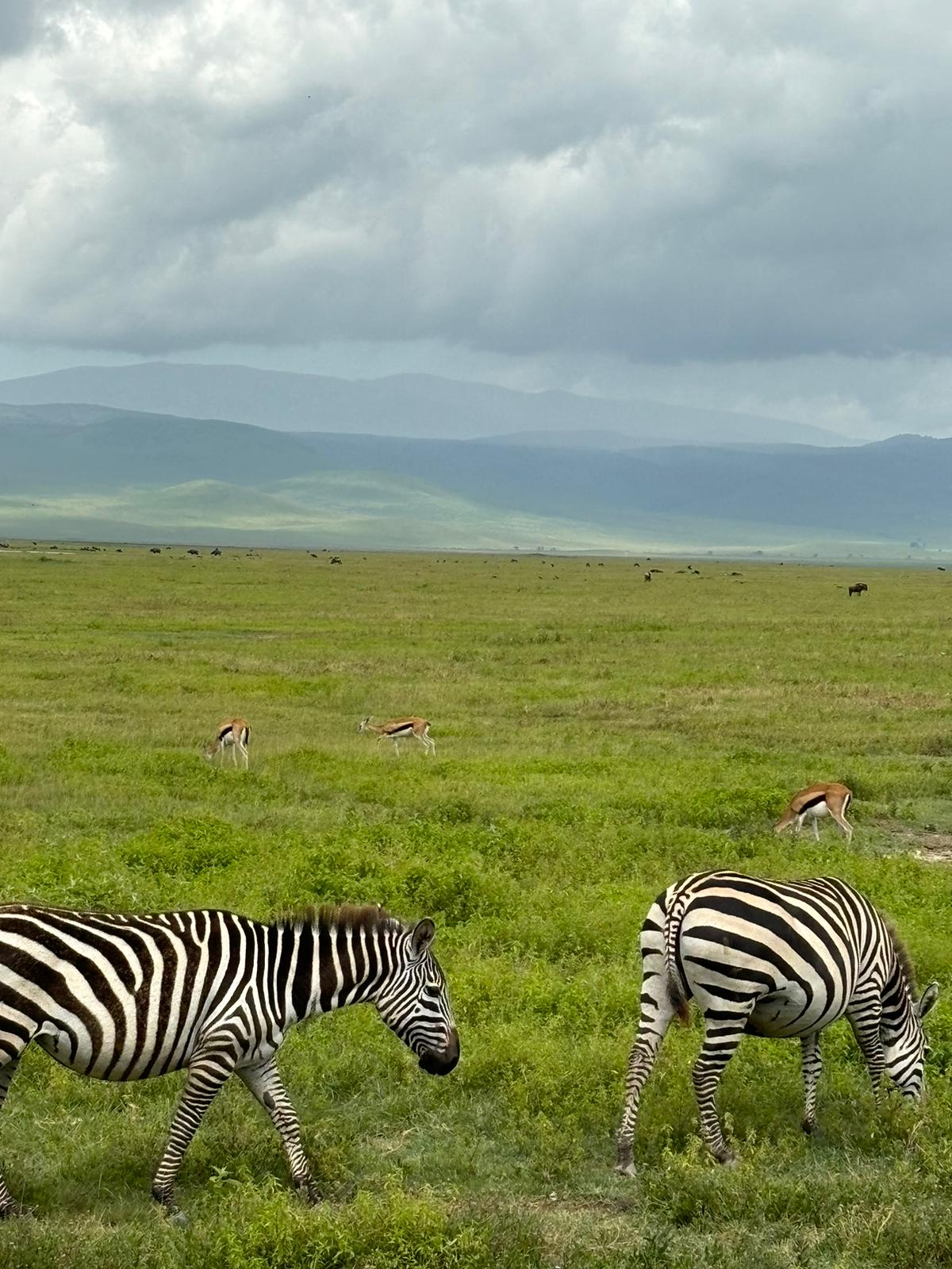 Sunscape Safaris Ltd