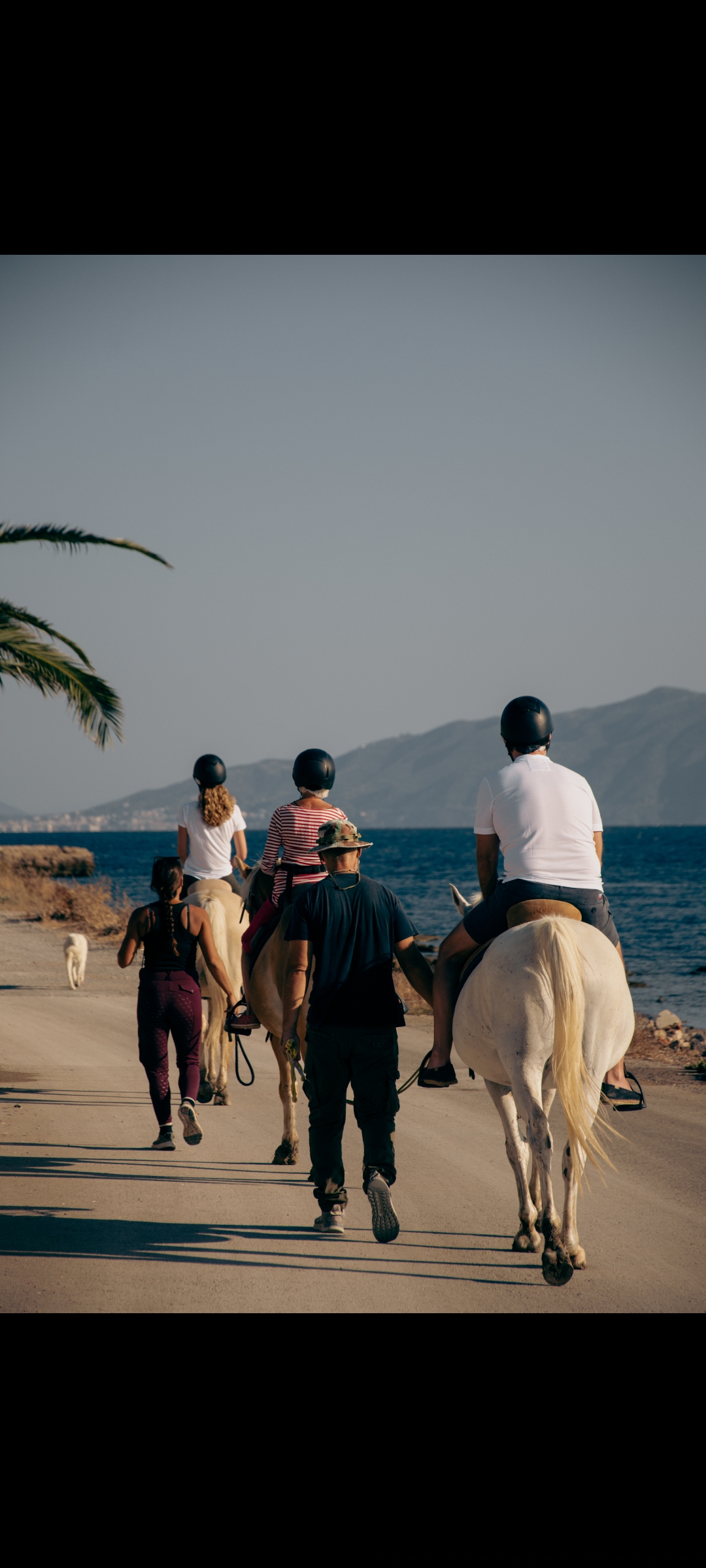 Darko World Horse Riding GR