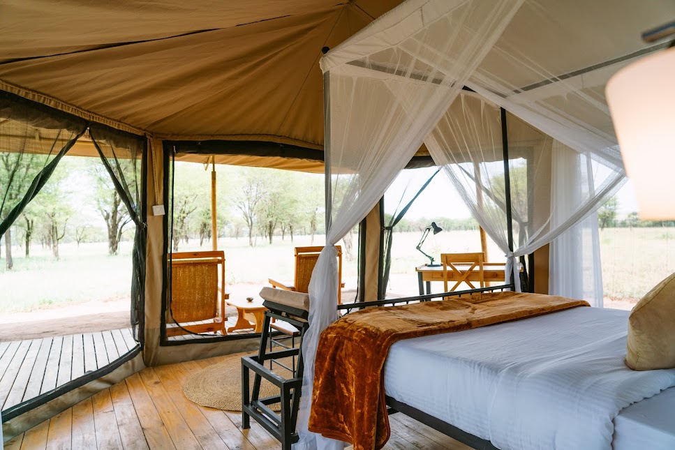 Savara Luxe Safari