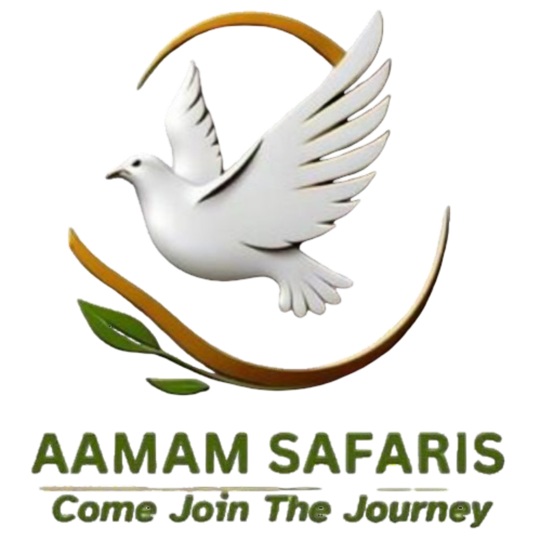 Aamam Safaris Ltd