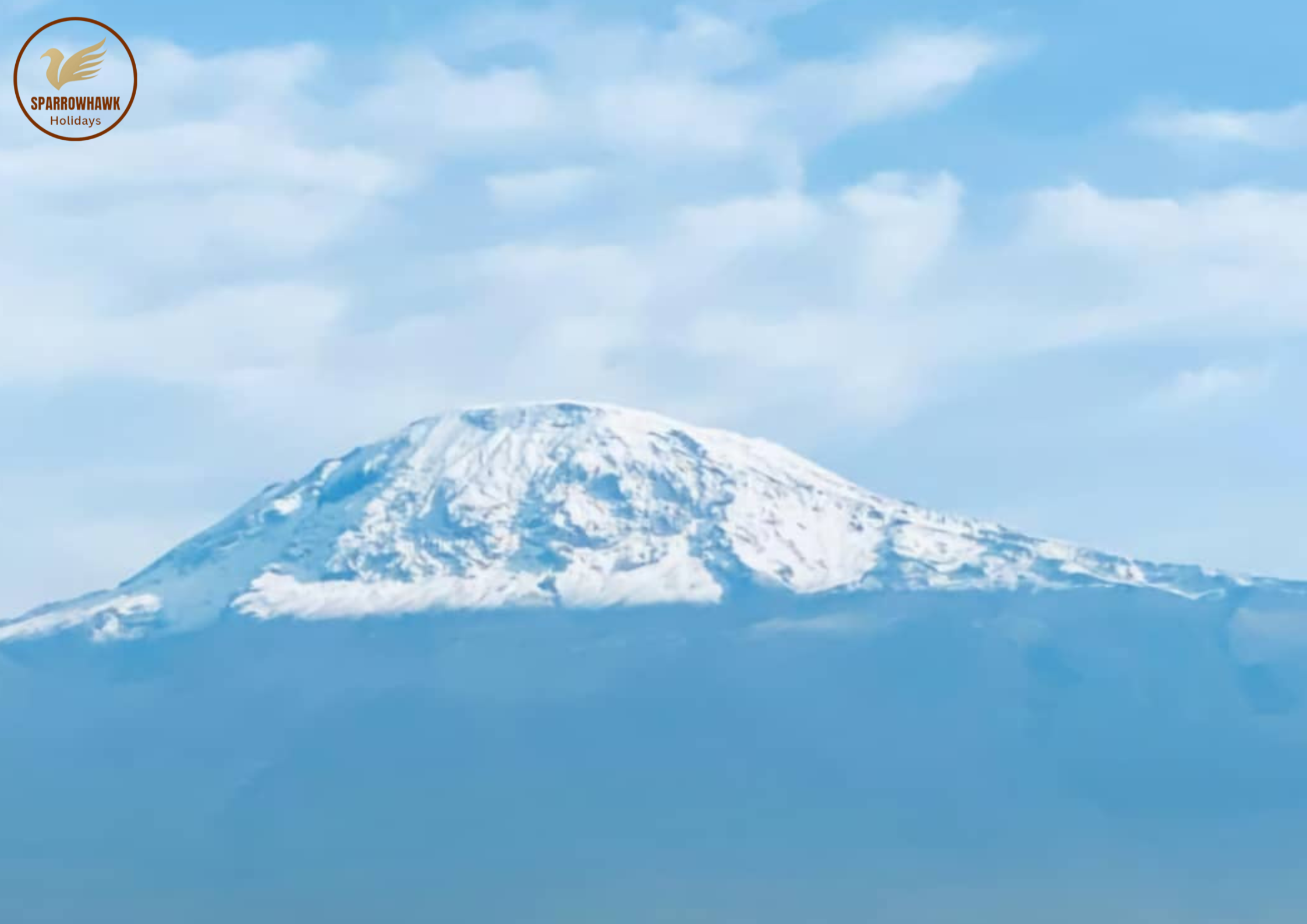 Sparrowhawk Holidays