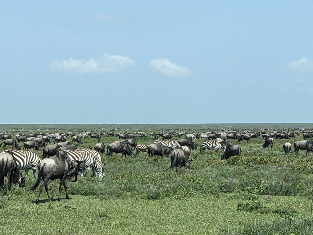 Sparrowhawk Holidays