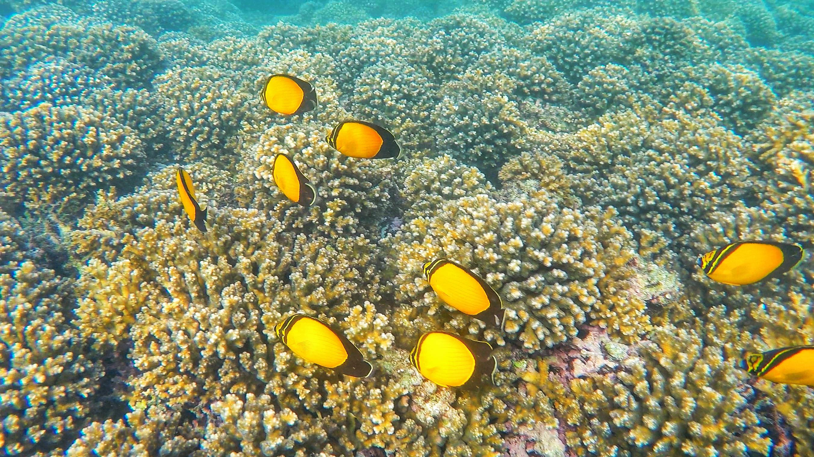 Star Of The Sea Tourism