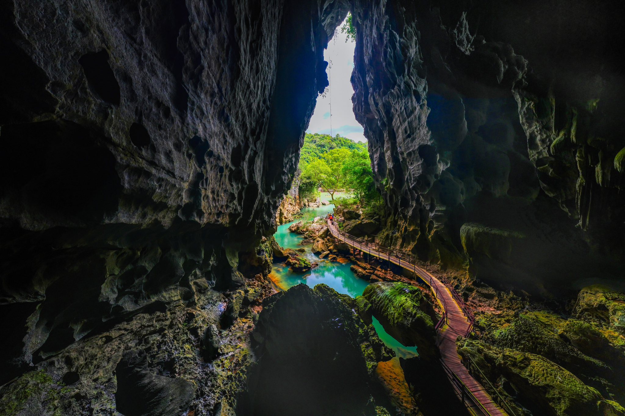 PHONGNHA DISCOVERY TOURS