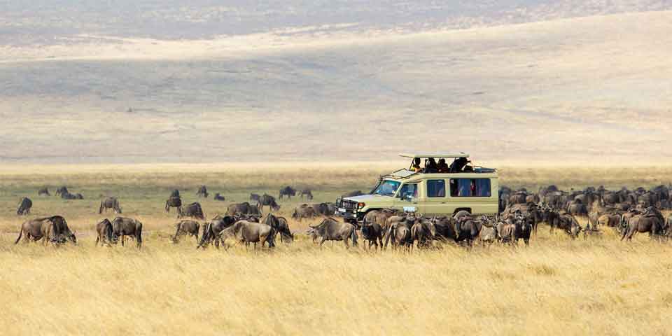 TANZANIA TOURS AND TRAVEL