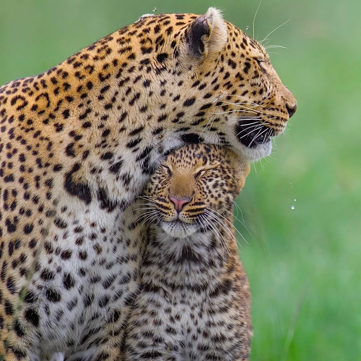 TANZANIA TOURS AND TRAVEL