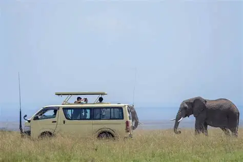 Ababa Uganda Safaris